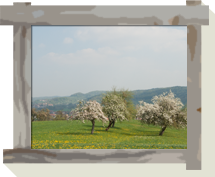 Landschaftsbild
