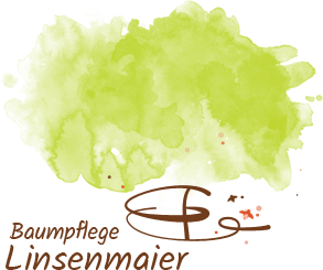 Baumpflege Tobias Linsenmaier