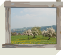 Honig und Garten